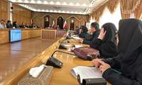 جلسه تخصصی کمیسیون مشترک رسیدگی به آئین نامه اجرایی شرکت های تحت مدیریت دولت